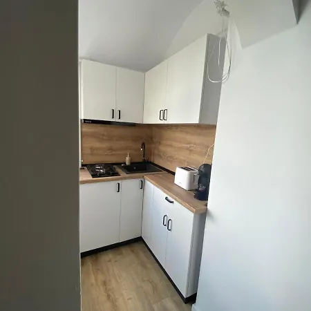 Apartment Doinei Cozy Flat Timisoara