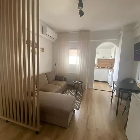 Doinei Cozy Flat Apartment Timisoara